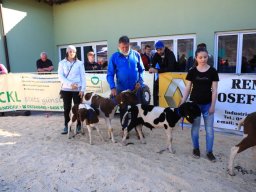 2019_ausstellung polling_685